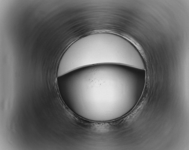 X0000096170809200801180829