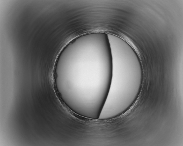 X0000096170810200801180829