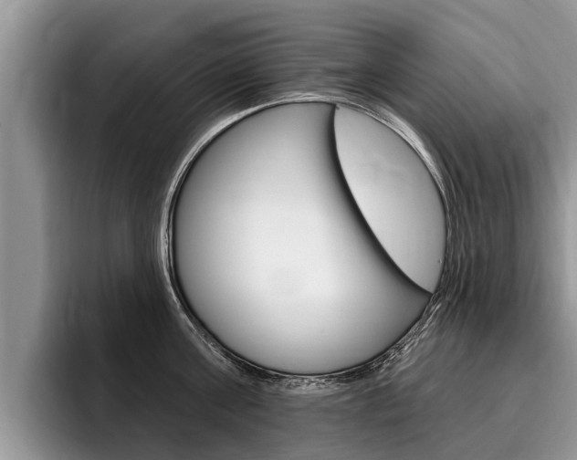 X0000096170811200801180829
