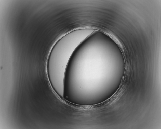 X0000096170813200801180829
