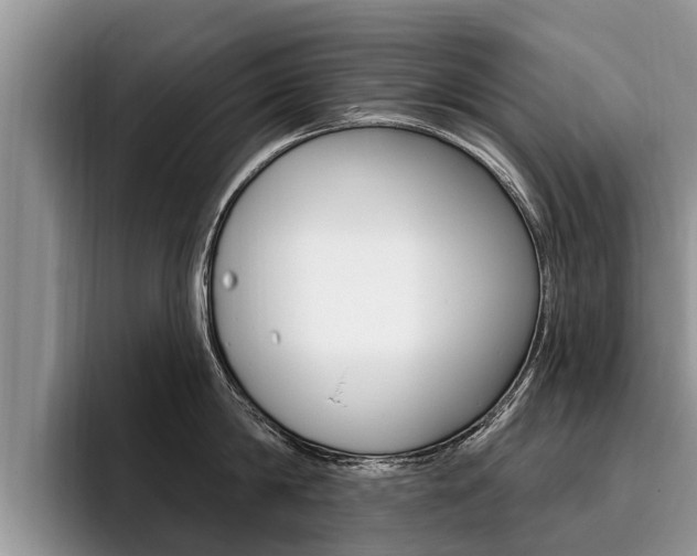 X0000096170814200801180829
