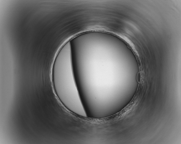 X0000096170815200801180829