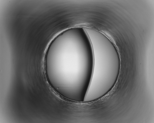 X0000096170816200801180829