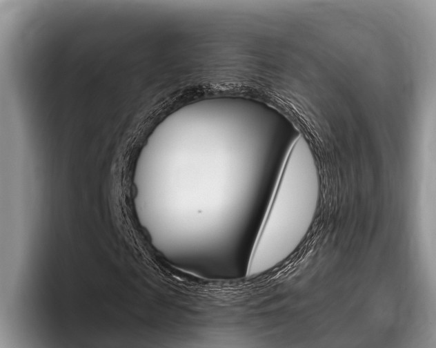 X0000096170817200801180828