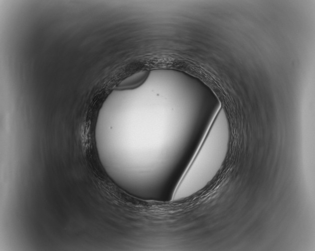 X0000096170818200801180828
