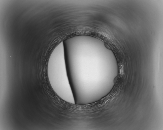 X0000096170819200801180828