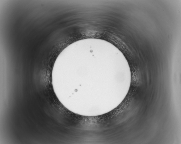 X0000096170820200801180828