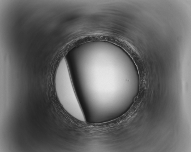 X0000096170821200801180828
