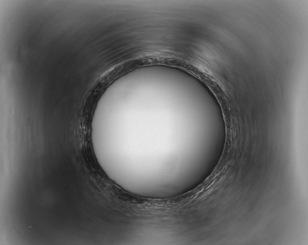 X0000096170822200801180828