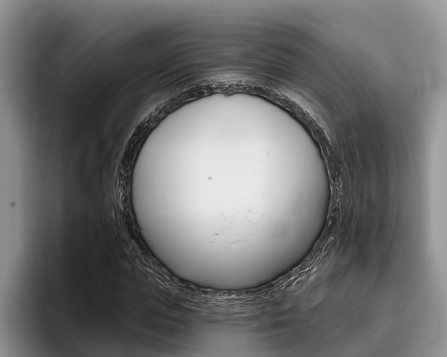 X0000096170823200801180828