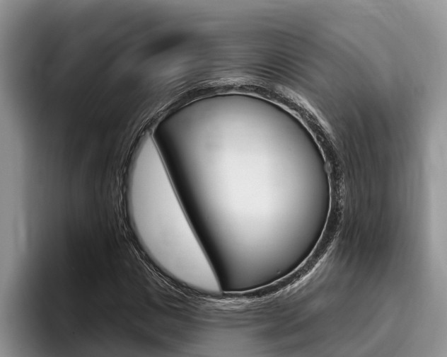 X0000096170825200801180828