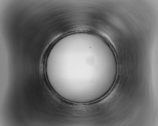 X0000096170827200801180828