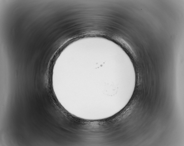 X0000096170828200801180828
