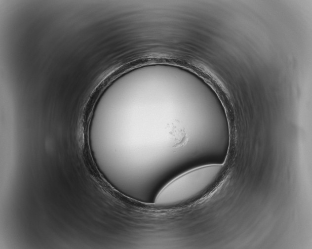 X0000096170829200801180828