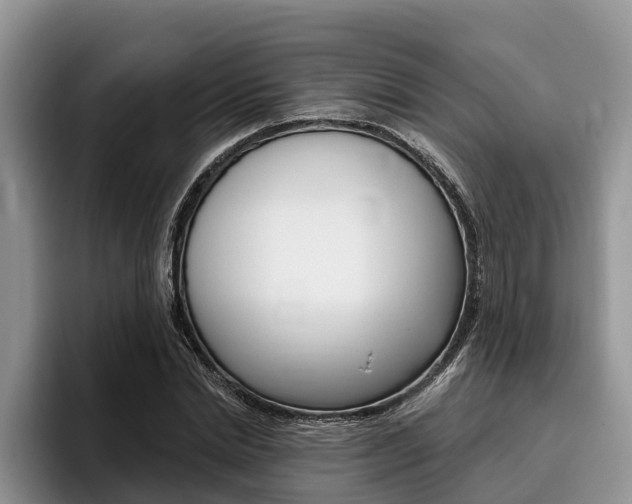 X0000096170830200801180828