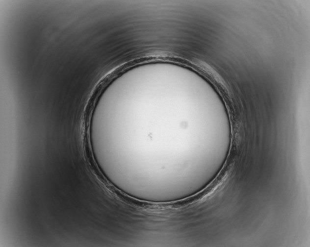 X0000096170831200801180828