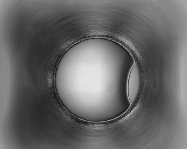 X0000096170833200801180828