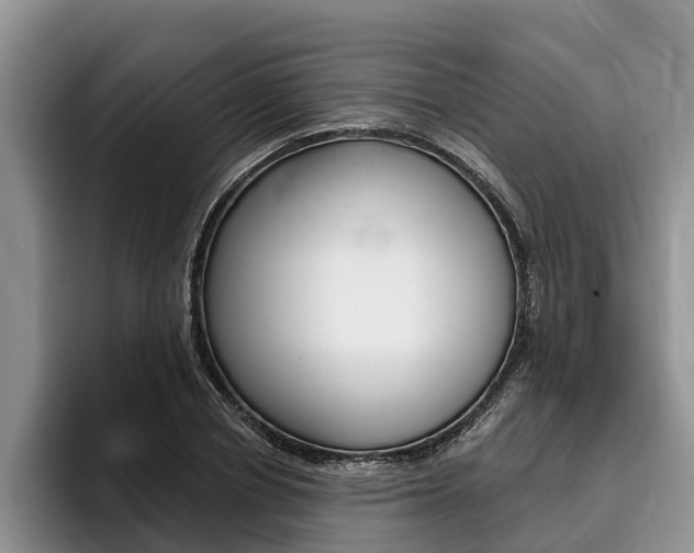 X0000096170834200801180828