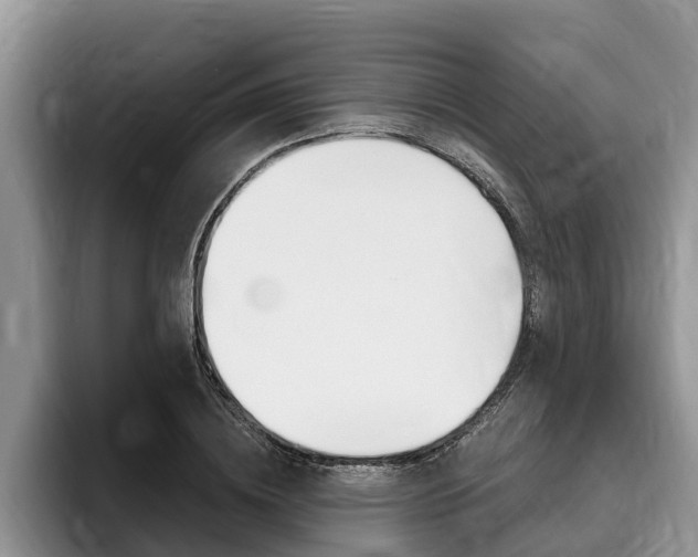 X0000096170836200801180828