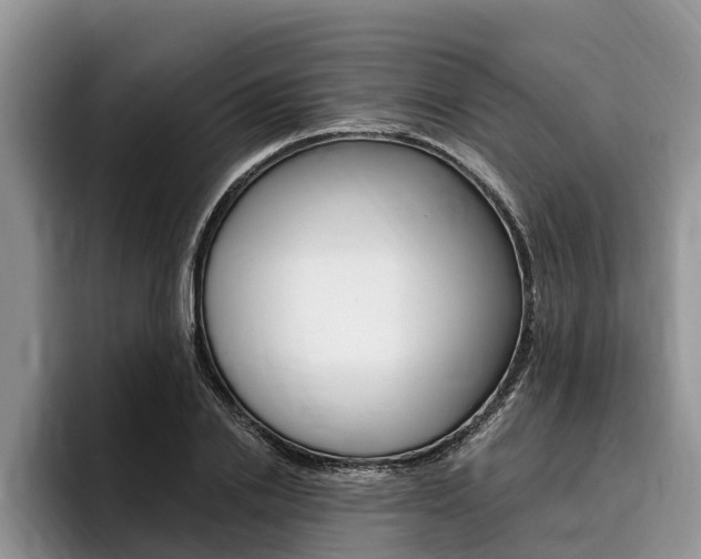 X0000096170838200801180828