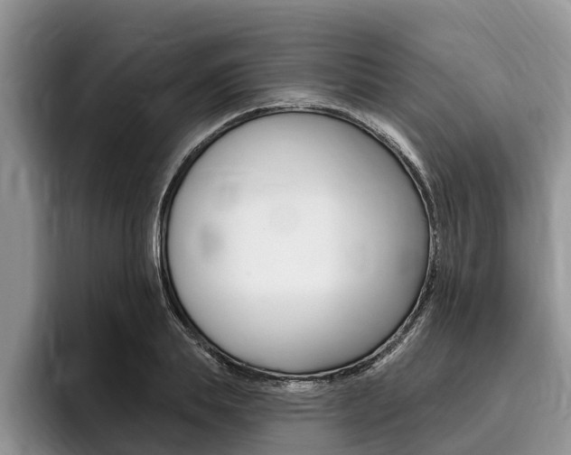 X0000096170839200801180828