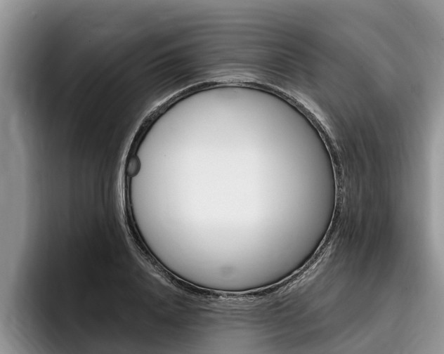 X0000096170840200801180828