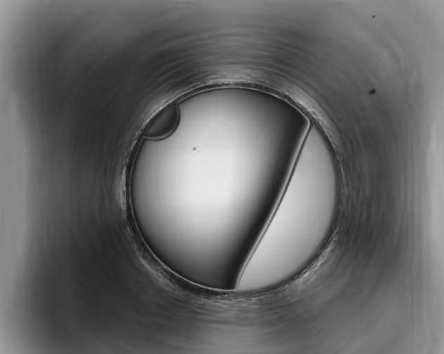 X0000096170842200801180828