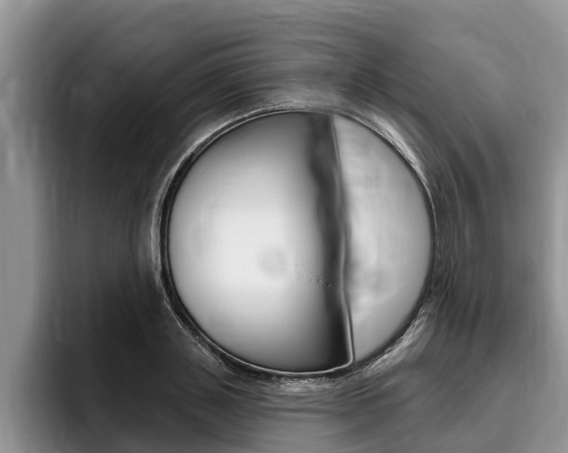 X0000096170843200801180828