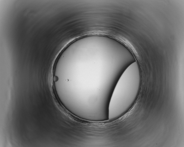 X0000096170844200801180828