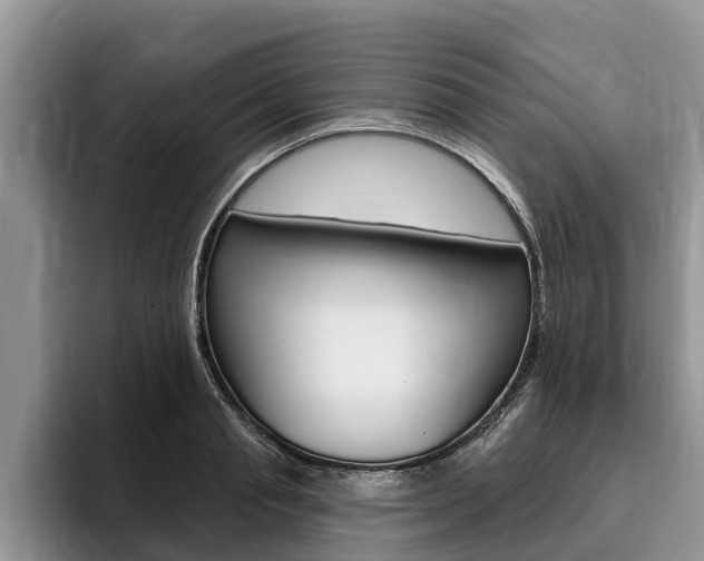 X0000096170845200801180828