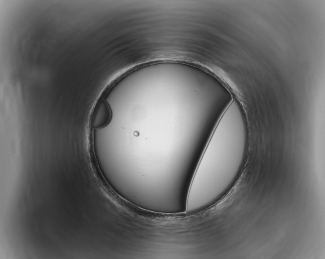 X0000096170846200801180828