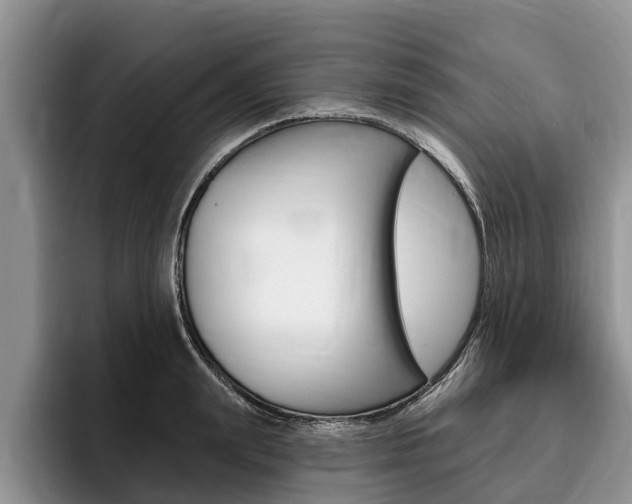 X0000096170847200801180828