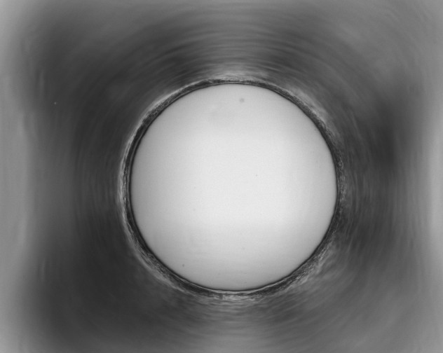 X0000096170848200801180828