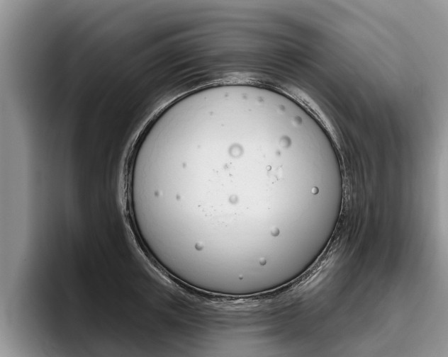 X0000096170851200801180828