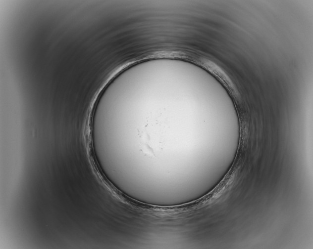 X0000096170852200801180829