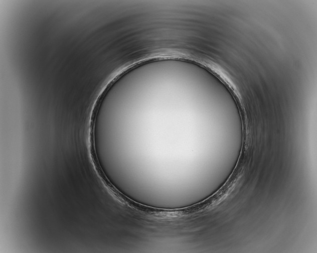 X0000096170853200801180829