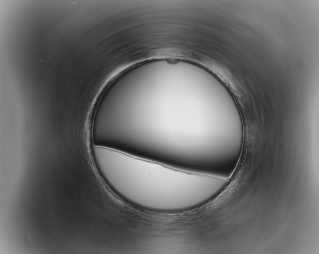 X0000096170854200801180829