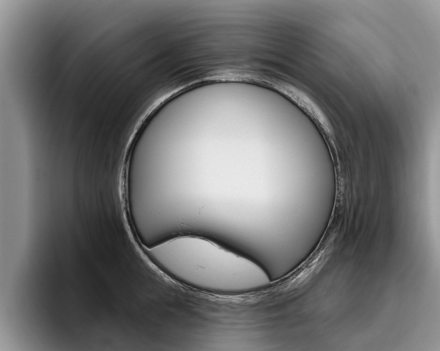 X0000096170855200801180829