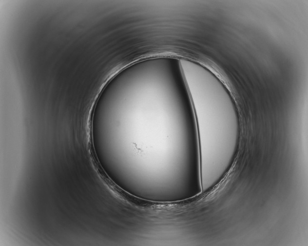 X0000096170858200801180829