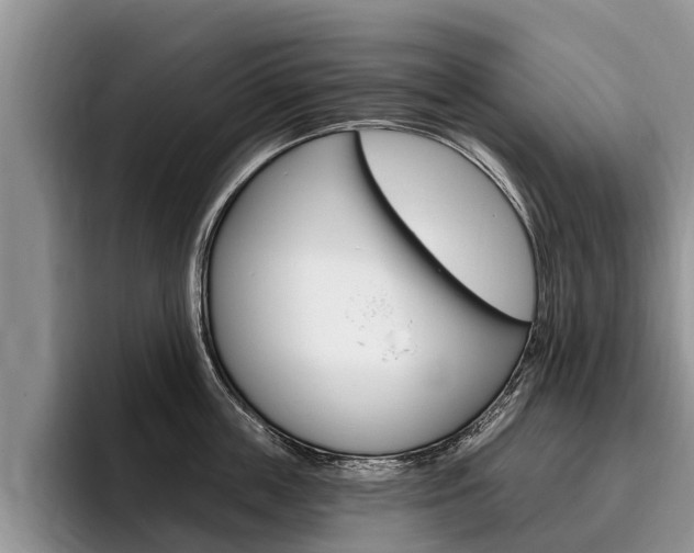 X0000096170859200801180829