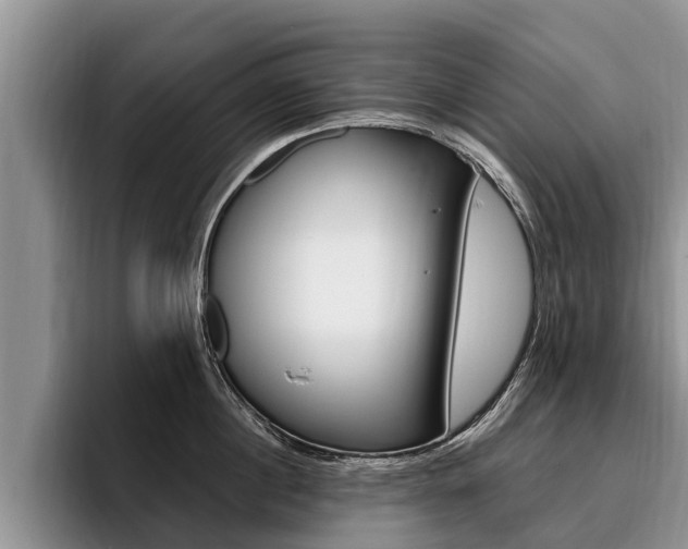 X0000096170860200801180829