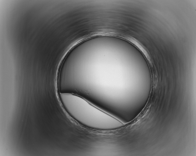 X0000096170861200801180829