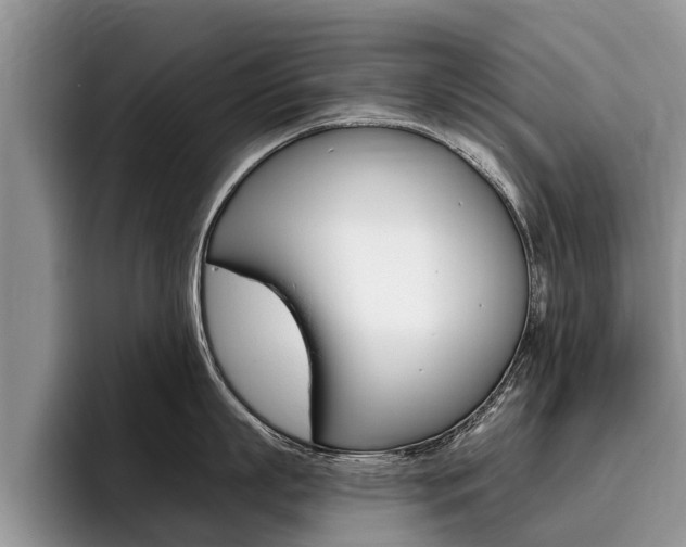 X0000096170863200801180829