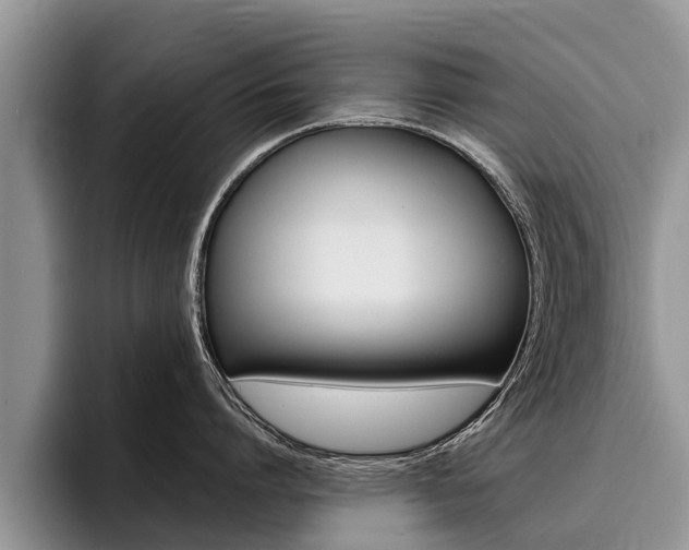 X0000096170864200801180829