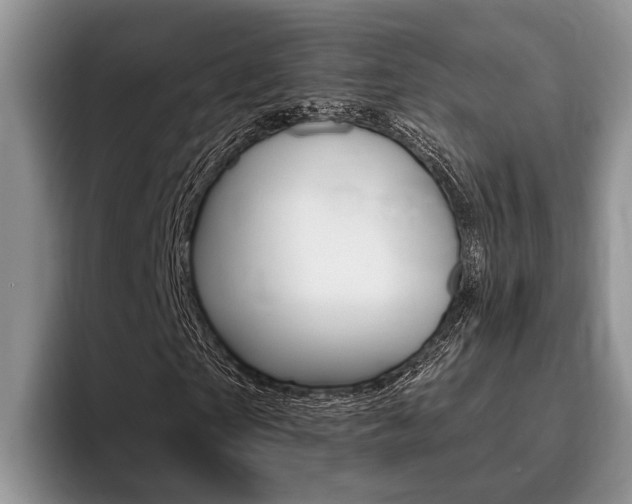 X0000096170865200801180828