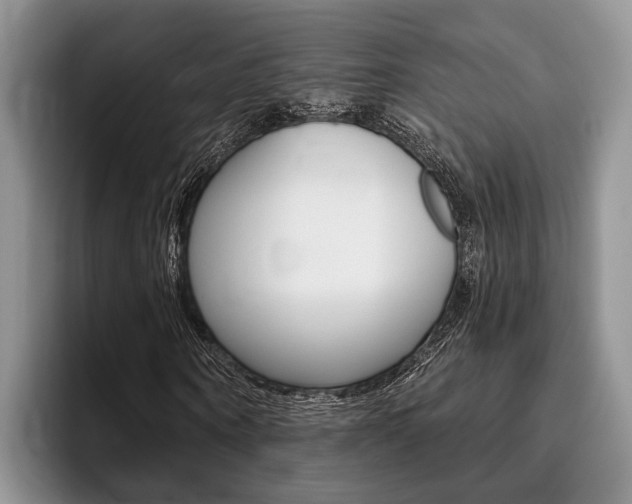 X0000096170866200801180828
