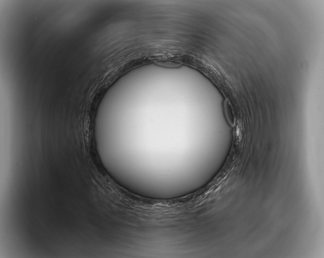 X0000096170867200801180828