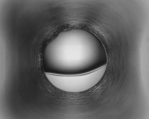 X0000096170868200801180828