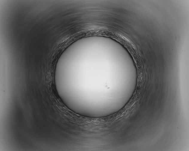 X0000096170869200801180828