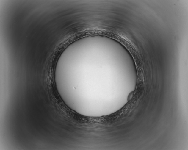 X0000096170870200801180828